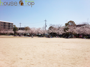 高木公園の画像2