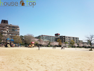 高木公園の画像3