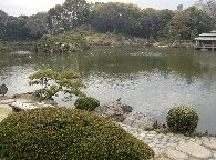 清澄庭園の画像3