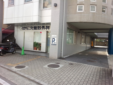 かにえ整形外科の画像2