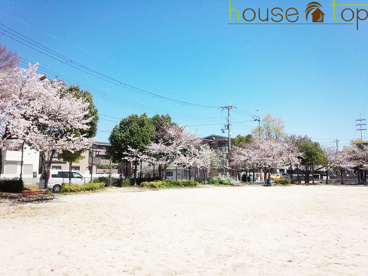 あらきの森公園の画像1