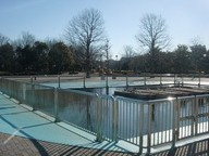 木場公園の画像2