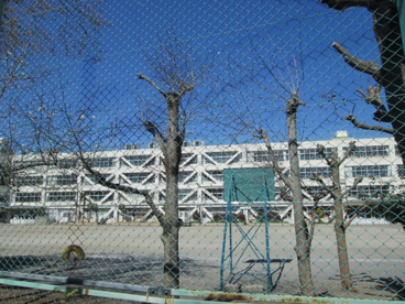 立川市立第二小学校の画像4