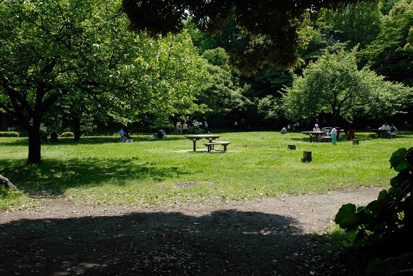 清澄公園の画像2