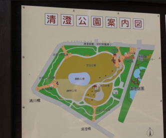 清澄公園の画像3