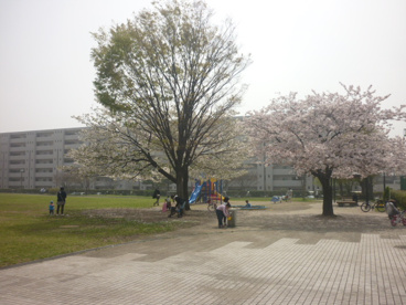 新杉田公園の画像1