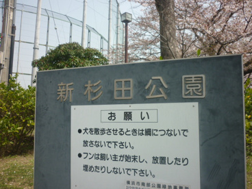 新杉田公園の画像3