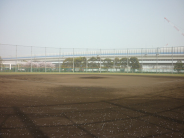 新杉田公園の画像4