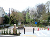 姿見の池緑地