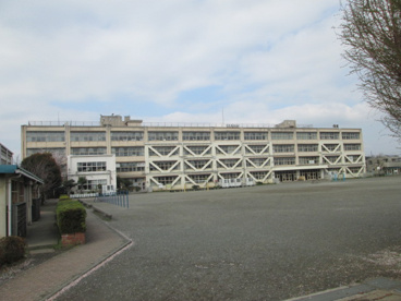  立川市立松中小学校の画像1