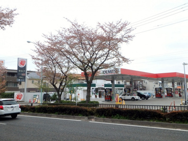 出光石油・プロントカフェ府中ＳＳの画像1