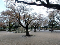 国立市谷保第四公園