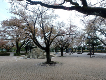 国立市谷保第四公園の画像1