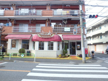 かしの木