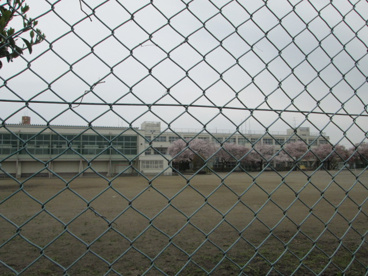 昭島市立福島中学校の画像1
