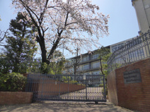帝京短期大学