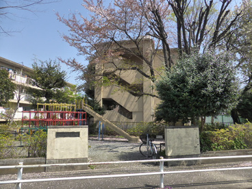 中野区 八島公園の画像2