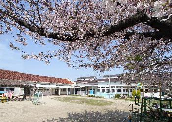 若江幼稚園の画像1