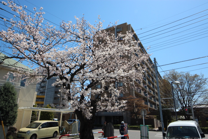 ウィズ大宮の画像