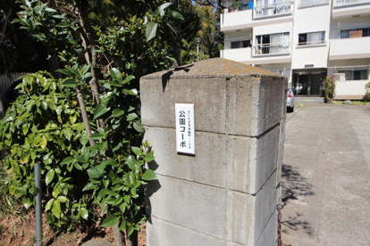 大宮公園コーポの画像2