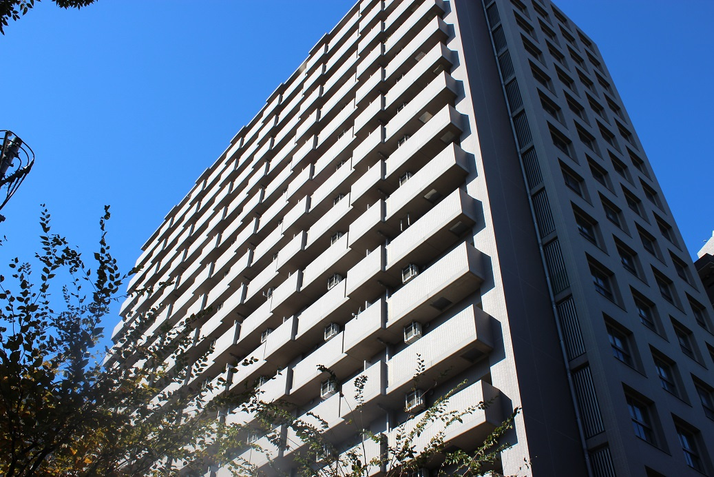 ライオンズヴィアーレ大宮の画像