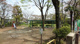霞ヶ丘公園の画像