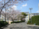 伊保小学校