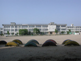 米田小学校