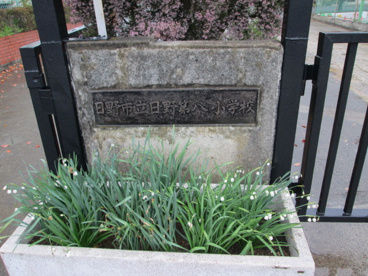  日野市立第八小学校の画像3