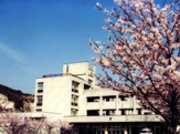 竜山中学校