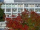 緑が丘中学校の画像