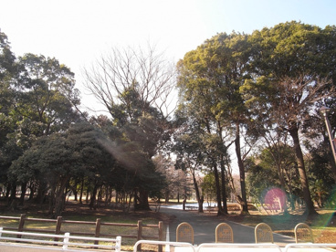 砧公園の画像3