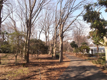 砧公園の画像4