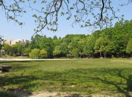 津雲公園の画像1