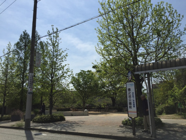 樋之池公園の画像2