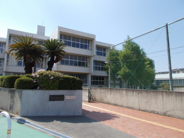 新田小学校の画像1