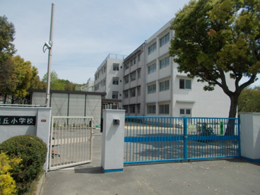 東泉丘小学校の画像1