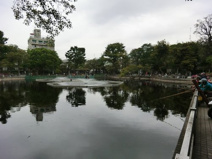 公園 清水池公園