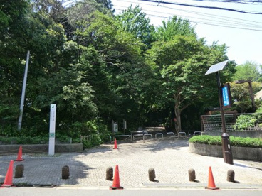 林試の森公園の画像1