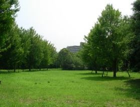 千里北公園の画像1