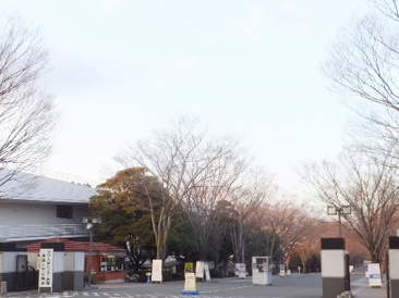 東海大学 湘南キャンパス