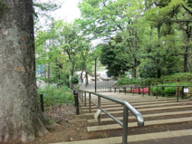 公園 中根公園
