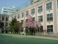 窪町小学校の画像1