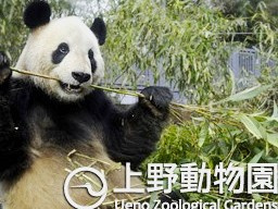 上野動物園の画像1