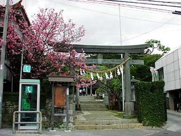普天間宮の画像1