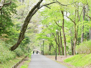 都立狭山自然公園