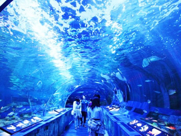 しながわ水族館の画像1