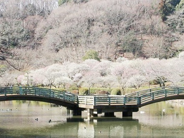 薬師池公園
