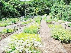 昭和薬科大学薬用植物園の画像1