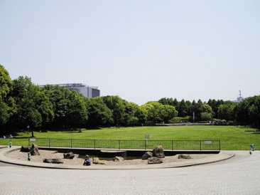 大田区立平和の森公園